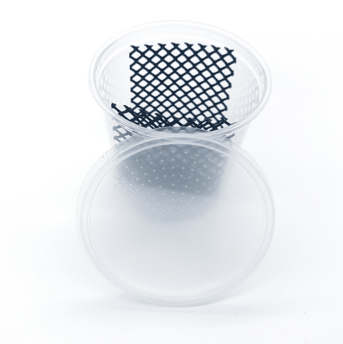 Hornworm Cup