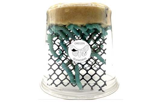 Hornworms: A preferred dietary choice for bearded dragons